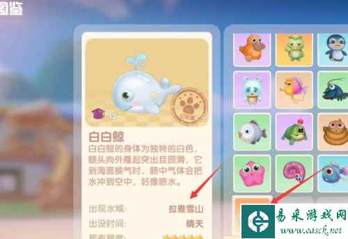 网5