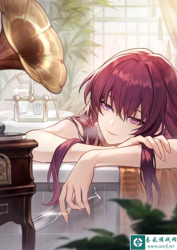 网5