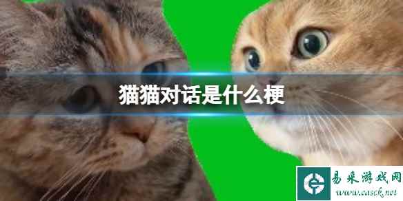 网1