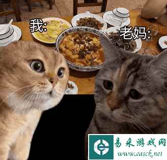 网2