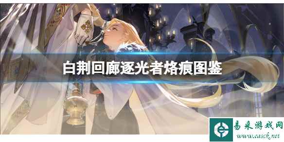 网1