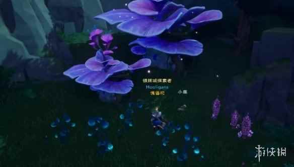 网11