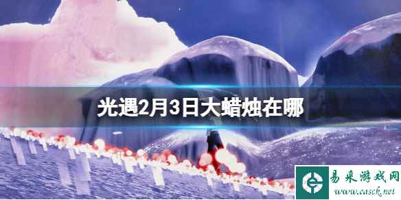 网1
