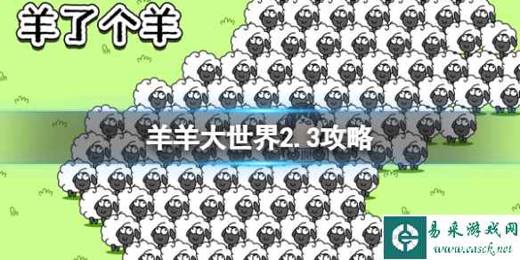 网1