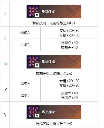 网4