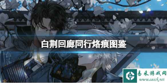 网1