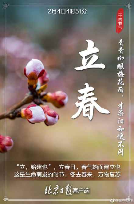 网4