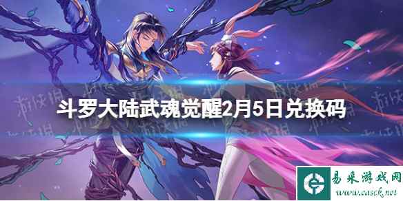 网1
