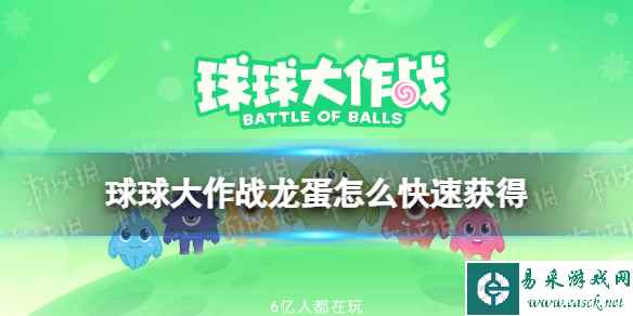 网1