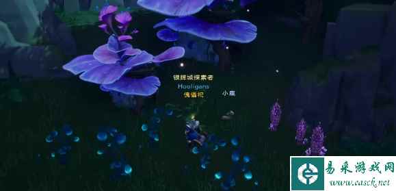 网8