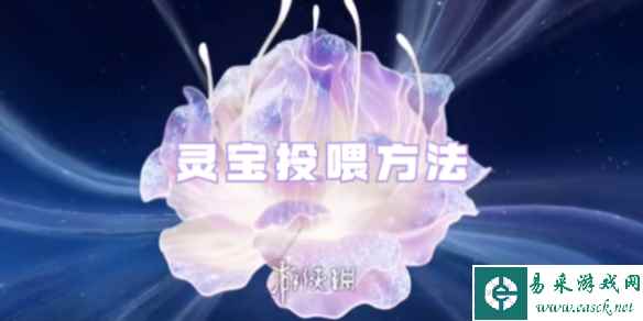 网1