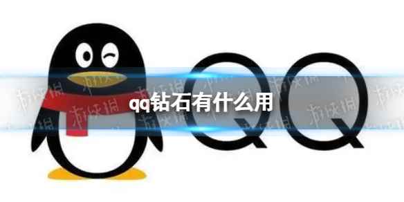 网1