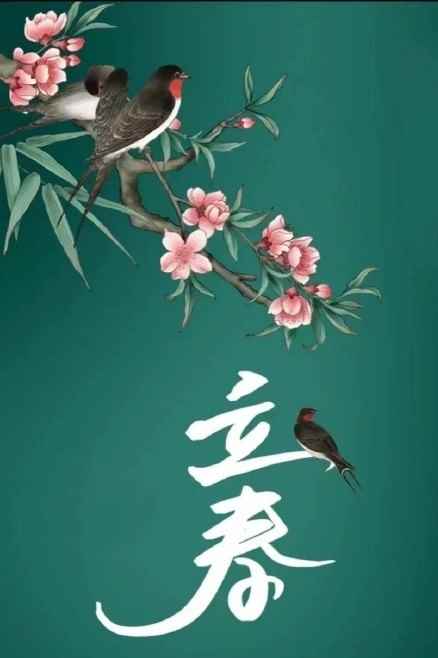 网3