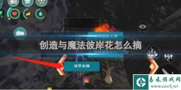 网1