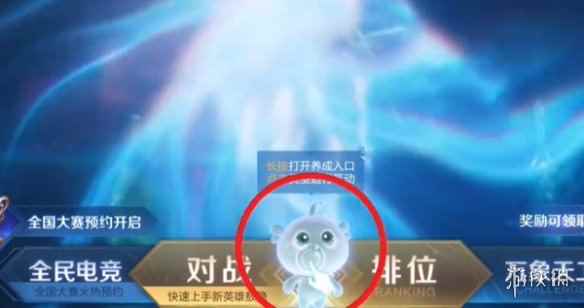 网5