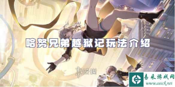 网1