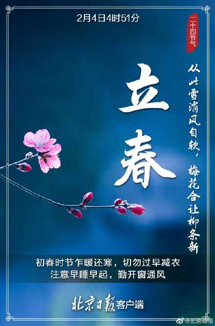 网8
