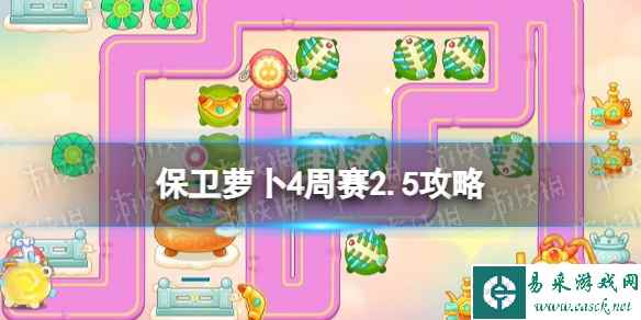 网1