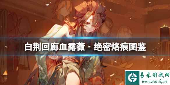 网1