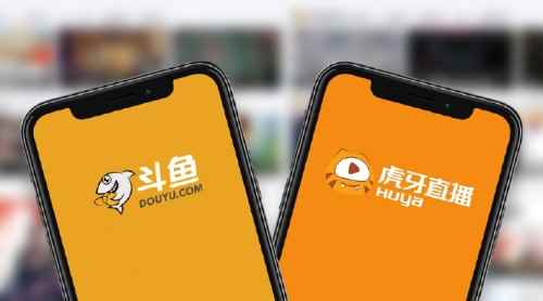 /news/2024/02-06/277749.shtml