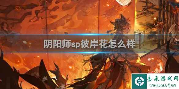 网1