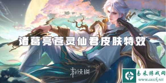 网1