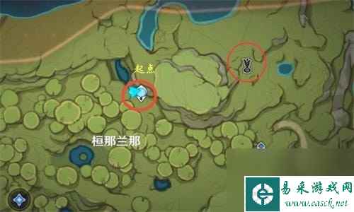 原神须弥梦之树怎么去