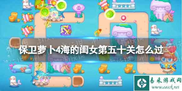 网1