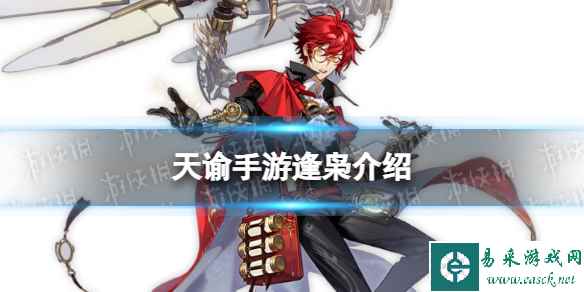 网1