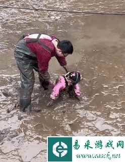 热狗肠就是这样灌的 动图 都吃的啥长这么大个儿？