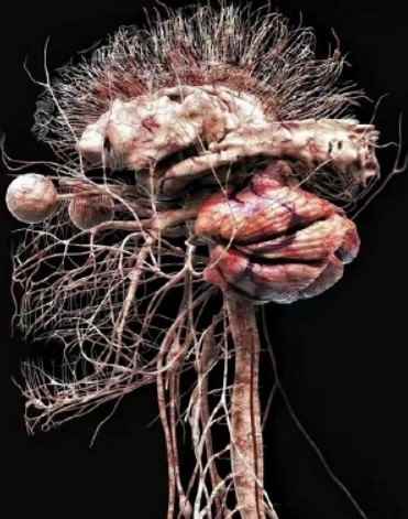 男性更易被雷劈，法医也有门诊！神奇的冷知识又来了