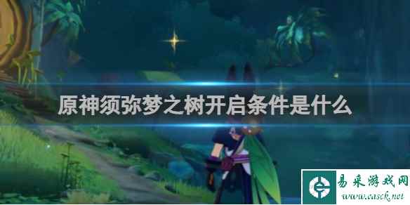 网1