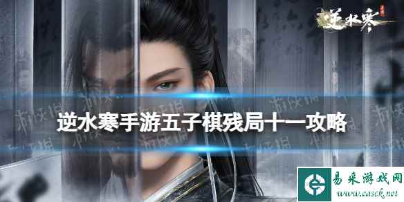 网1