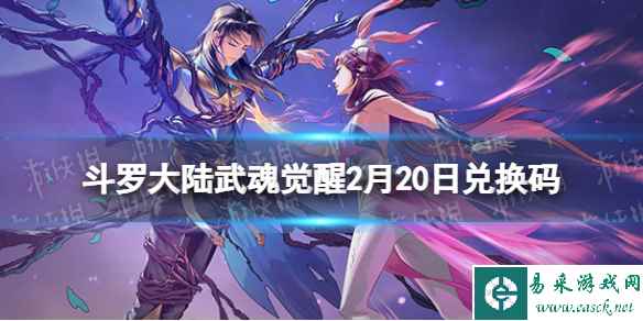 网1