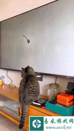 我要看看谁有大胆的想法 动图 别误会真的只是在正骨