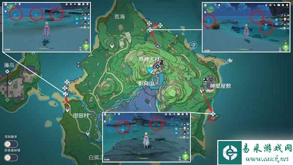 原神海灵芝具体位置 原神海灵芝怎么采集