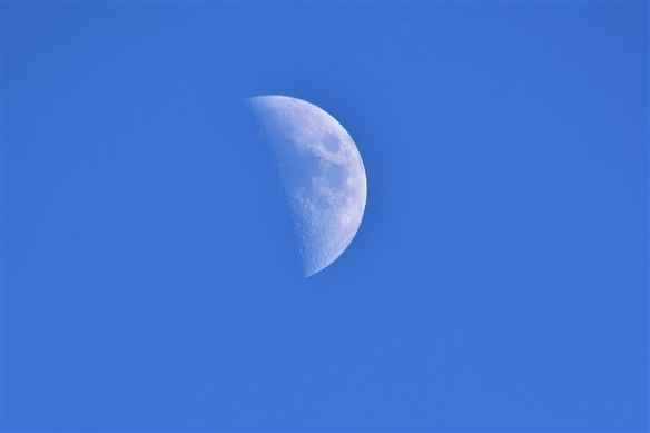 时隔50多年美国航天器首次登月：奥德修斯成功着陆！
