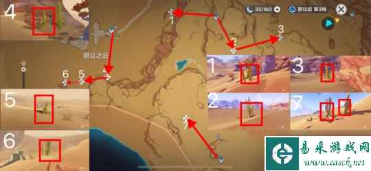 【原神】v4.4攻略 | 须弥区域特产 赤念果