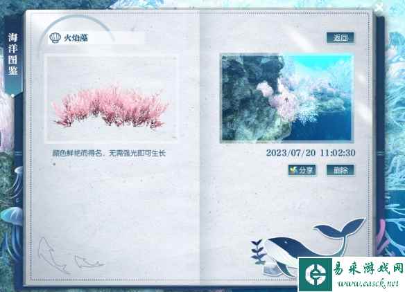 《逆水寒手游》火焰藻位置攻略