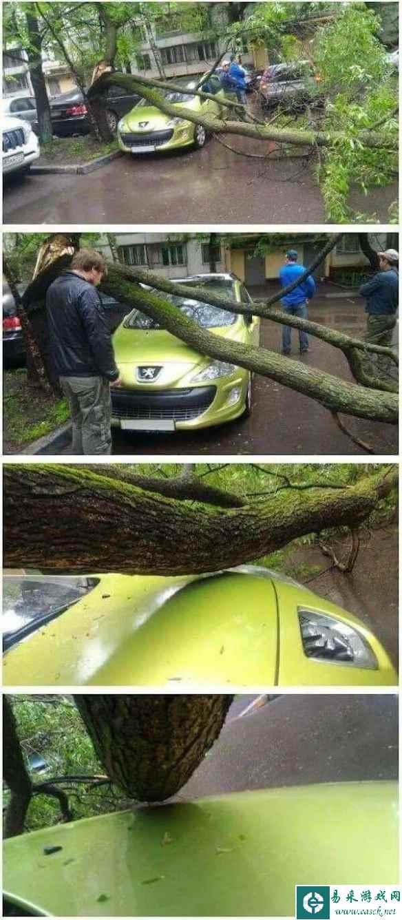 疯狂摸鱼才是赚钱！囧图 什么公司还要监控打印机的