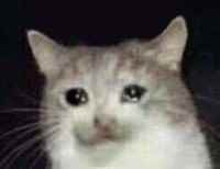 看了这个“战狼版李子柒”后，浑身充满使不完的牛劲