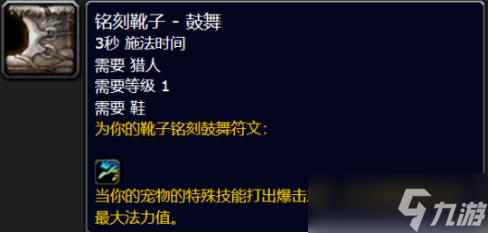 魔兽世界plus二阶段猎人符文