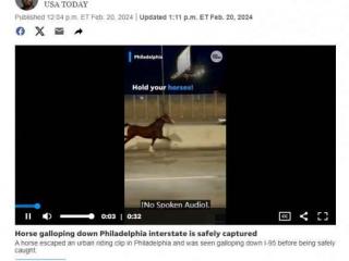 《费城询问报》推出整活恶搞跳跃游戏《Horse 95》！