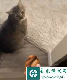 易采游戏网