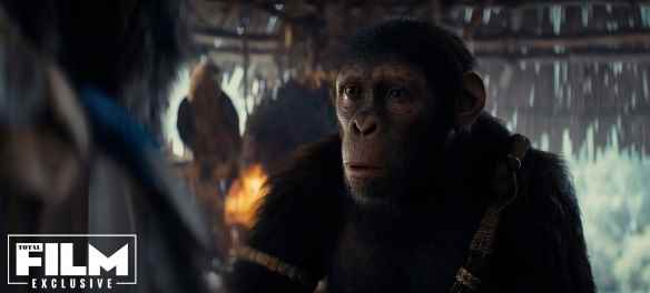 《猩球崛起:新世界》新剧照 年轻猿猴的冒险之旅开始