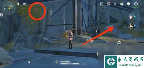 鸣潮灯笼果采集路线