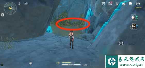 鸣潮灯笼果采集路线