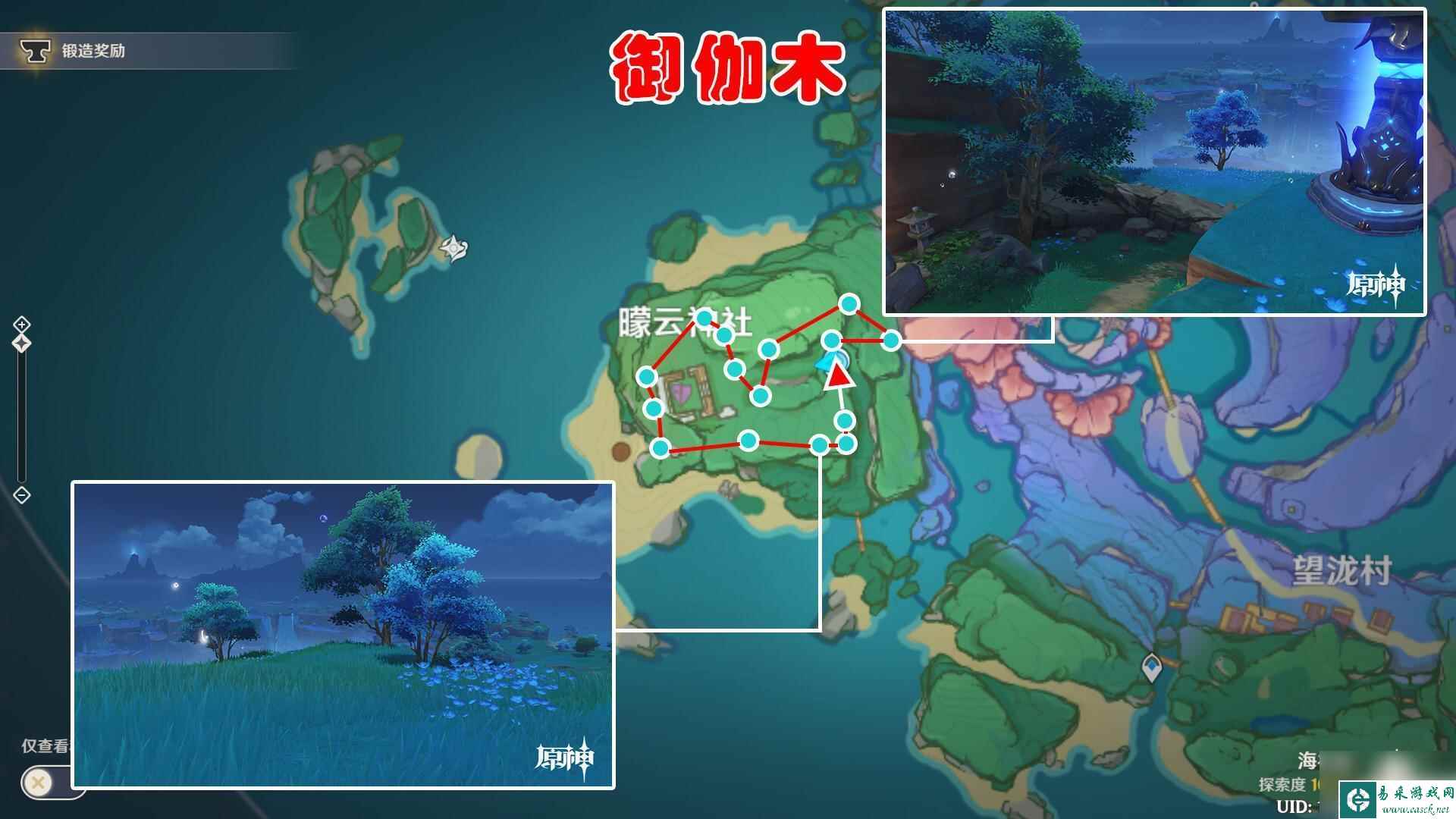 御伽木路线 原神御伽木采集地点