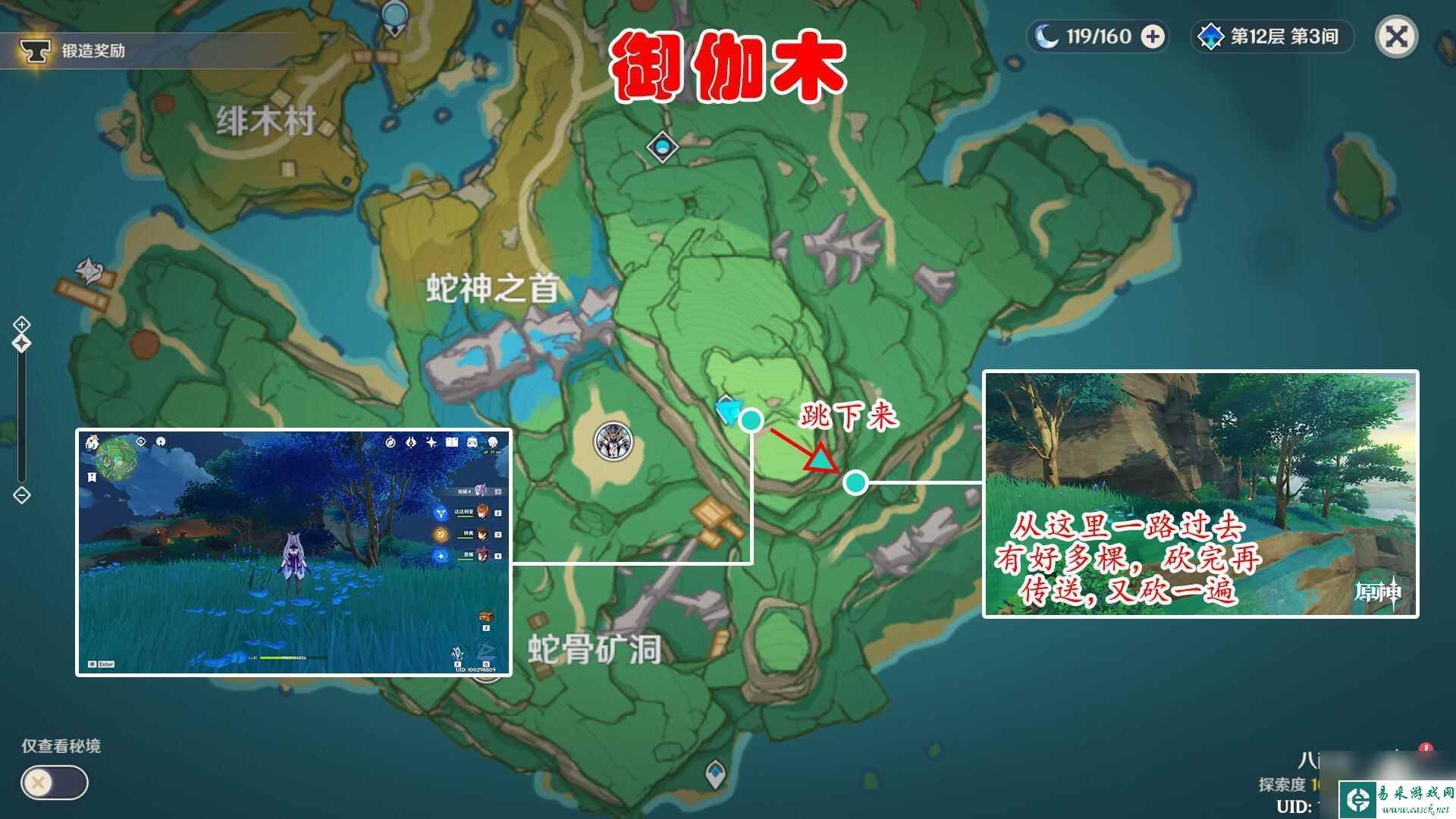 御伽木路线 原神御伽木采集地点
