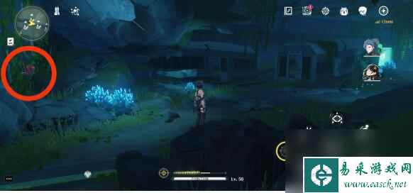 鸣潮灯笼果采集路线